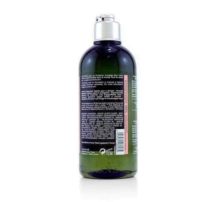 Aromachologie Repairing Shampoo (Dry & Damaged Hair) - 300ml-10.1oz-Hair Care-JadeMoghul Inc.