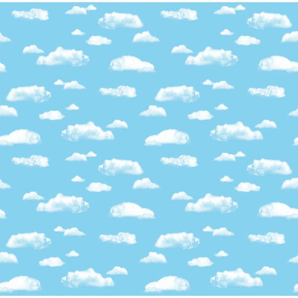 Fadeless 48X12 Cloud Sold 4Rls/Ctn