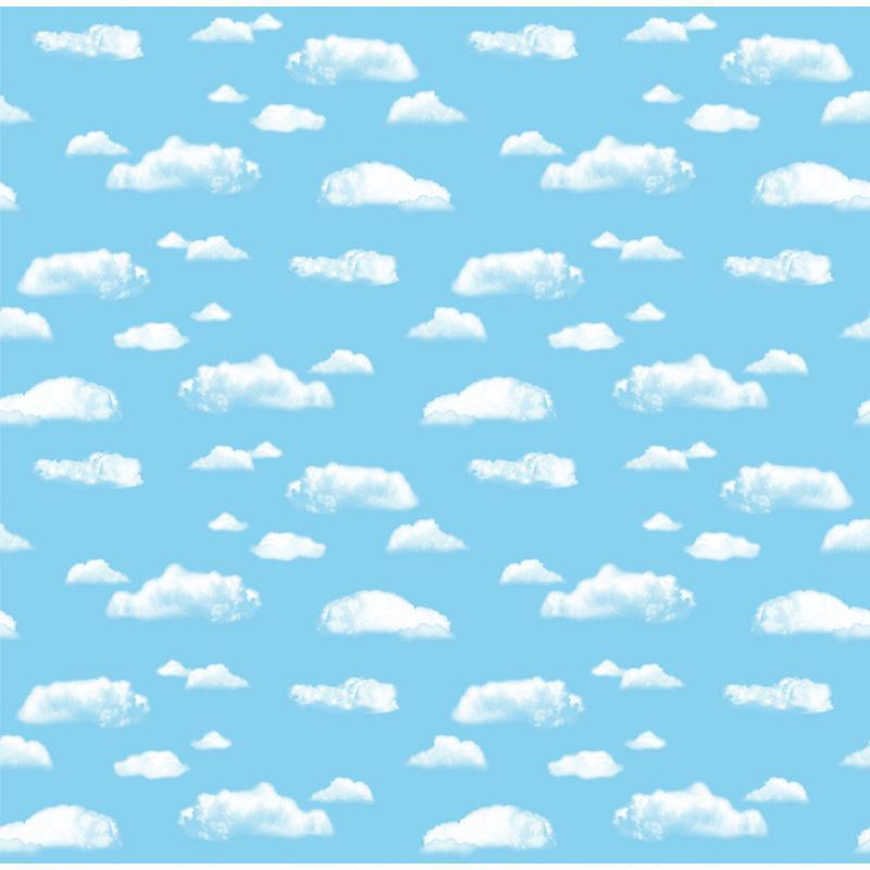 Fadeless 48X12 Cloud Sold 4Rls/Ctn