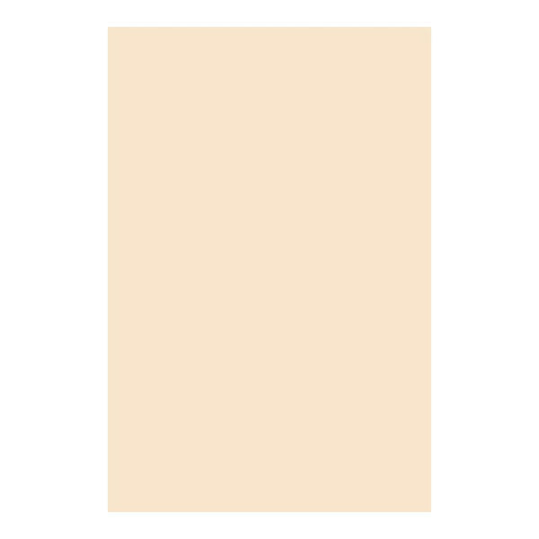 Arts & Crafts Pacon Manila Tagboard 24 X36 100 Ct PACON CORPORATION