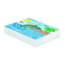 Arts & Crafts Plain White Newsprint 12 X18 In Ream PACON CORPORATION