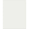 Plastic Poster Brd 22 X28 Clear 25 Sh