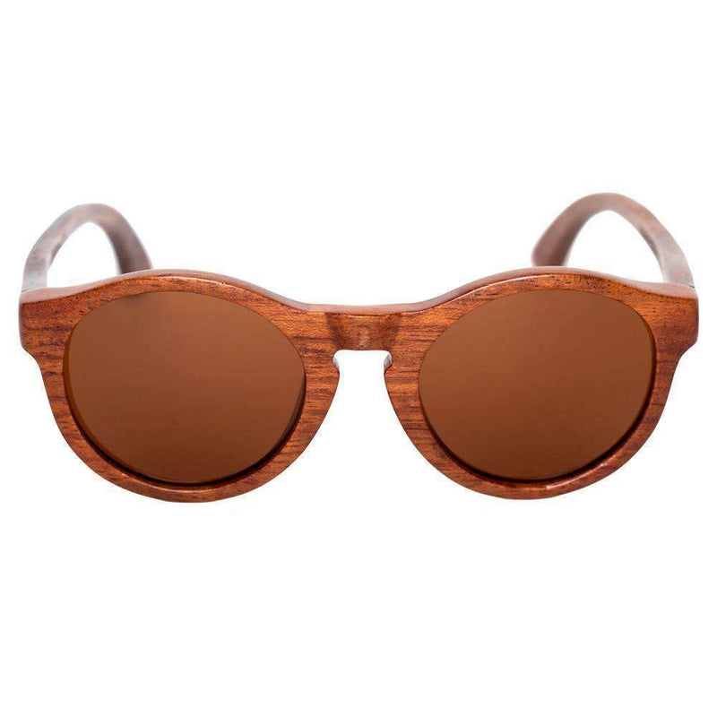 Avery Taiga AVSG710027 Ladies Sunglasses-Brand Sunglasses-JadeMoghul Inc.