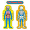 BB SET CHILD-SIZE HUMAN BODY 2-Learning Materials-JadeMoghul Inc.