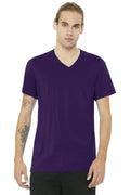 BELLA+CANVAS Unisex Jersey Short Sleeve V-Neck Tee. BC3005-T-shirts-Team Purple-XL-JadeMoghul Inc.