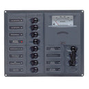 BEP AC Circuit Breaker Panel w-Analog Meters, 8SP 2DP AC120V Stainless Steel Vertical [900-AC2H-AM-110]-Electrical Panels-JadeMoghul Inc.