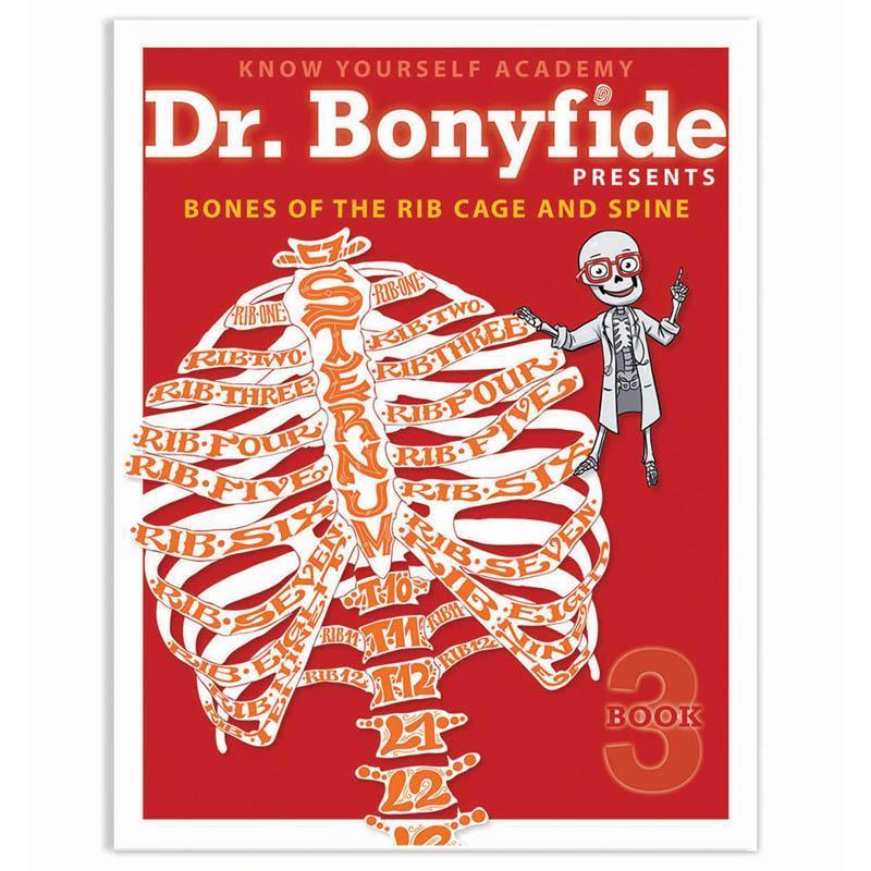 BONES OF RIB CAGE AND SPINE-Toys & Games-JadeMoghul Inc.
