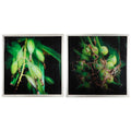 Botanical Photography Cotton Canvas Wall Art , Green, Set of 2,-Paintings-Green-MDF GLASS PP PAPER-JadeMoghul Inc.