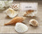 Boy Wedding / Ring bearer Shells by the Sea Authentic Shell Place Card Holder with Matching Place Cards (Set of 6) Kate Aspen