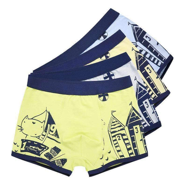 Boys 2 Pcs Soft Organic Cotton Printed Boxer Shorts-N01 BG-4T-JadeMoghul Inc.