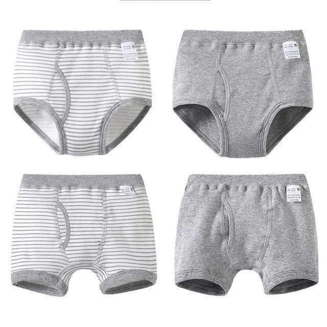 Boys 4 Pcs Soft Organic Cotton Briefs And Boxers Set-Grey-3T-JadeMoghul Inc.