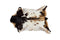 Carpets Carpet - 2" x 3" Tricolor And White Calfskin - Area Rug HomeRoots