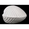 Ceramic Clam Seashell Figurine Gloss Finish White - Benzara-Decorative Accessories-White-Ceramic-JadeMoghul Inc.