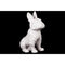 Ceramic Sitting French Bulldog Figurine with Pricked Ears, Glossy White-Home Accent-White-Ceramic-JadeMoghul Inc.