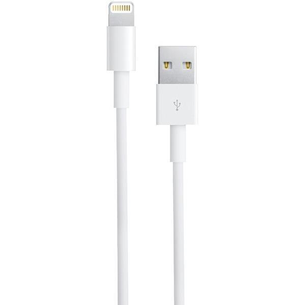 Charge & Sync USB Cable with Lightning(R) Connector (10ft)-USB Charge & Sync Cable-JadeMoghul Inc.
