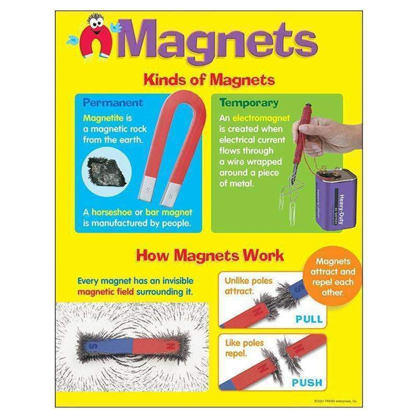 CHART MAGNETS-Learning Materials-JadeMoghul Inc.