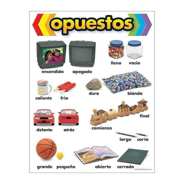 CHART OPUESTOS-Learning Materials-JadeMoghul Inc.