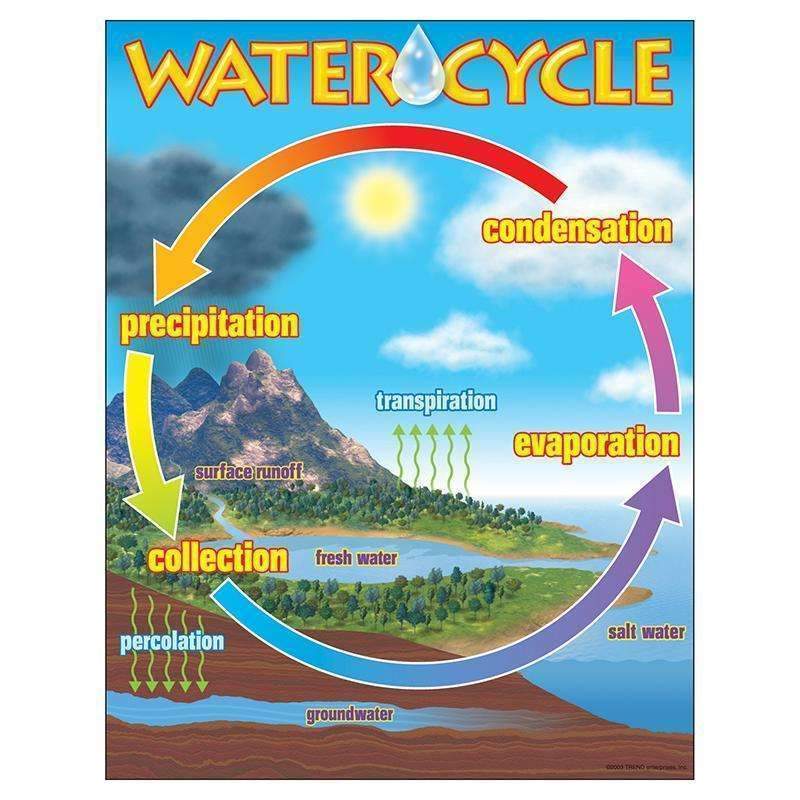 CHART THE WATER CYCLE-Learning Materials-JadeMoghul Inc.