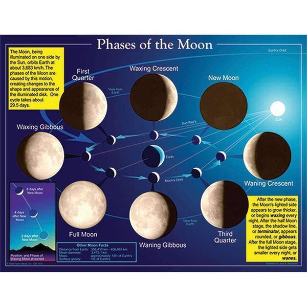 CHARTLET PHASES OF THE MOON-Learning Materials-JadeMoghul Inc.