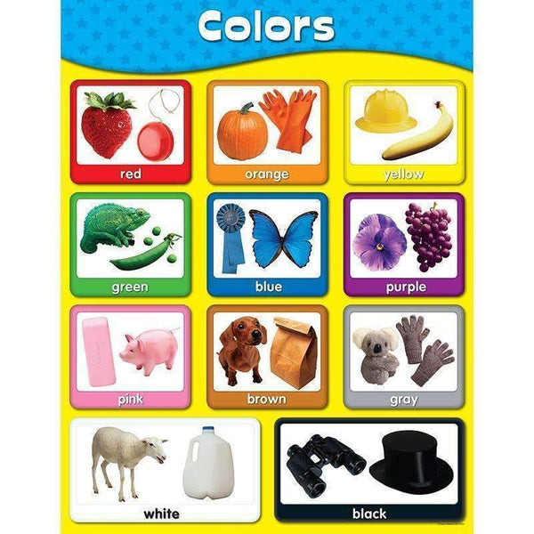 CHARTLETS COLORS-Learning Materials-JadeMoghul Inc.