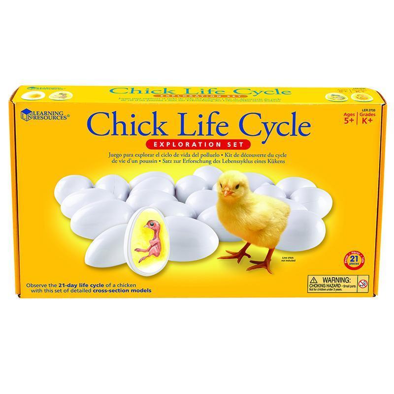 CHICK LIFE CYCLE EXPLORATION SET-Learning Materials-JadeMoghul Inc.