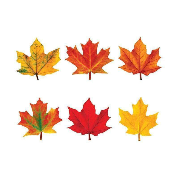 CLASSIC ACCENTS MAPLE LEAVES MINI-Learning Materials-JadeMoghul Inc.