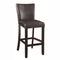 Comfortable Bar Stool, Brown, Set of 2-Accent and Garden Stools-Brown-Wood & Leather-Cappuccino-JadeMoghul Inc.