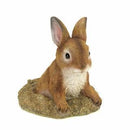 Lawn & Garden Decor Curious Bunny Garden Decor