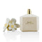 Daisy Eau De Toilette Spray (Anniversary Edition) - 100ml-3.4oz-Fragrances For Women-JadeMoghul Inc.