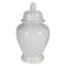 Decorative Porcelain Ginger Jar with Lidded Top, Medium, White-Decorative Jars and Urns-White-Porcelain-JadeMoghul Inc.