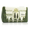 Dei Colli Fiorentini Triple Milled Vegetal Soap - Cypress Tree - 250g-8.8oz-All Skincare-JadeMoghul Inc.
