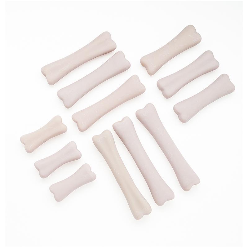 DINOSAUR BONES DISCOVERY SET-Supplies-JadeMoghul Inc.