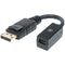 DisplayPort(TM) to Mini DisplayPort(TM) Adapter-Cables, Connectors & Accessories-JadeMoghul Inc.