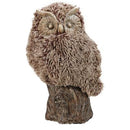 Distinctive Winsome Furry Owl, Brown-Decorative Objects and Figurines-Brown-marmag polycarbafil-JadeMoghul Inc.