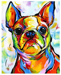 DIY Paints By Numbers Cat Dog Animals 50x40cm Art Pictures Set Coloring Decorative Canvas Wall Artcraft Oil Painting By Numbers AExp