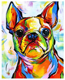DIY Paints By Numbers Cat Dog Animals 50x40cm Art Pictures Set Coloring Decorative Canvas Wall Artcraft Oil Painting By Numbers AExp