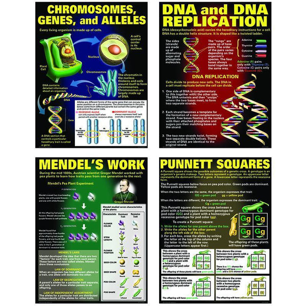 DNA & HEREDITY POSTER SET-Learning Materials-JadeMoghul Inc.