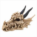 Decoration Ideas Dragon Skull Treasure Box