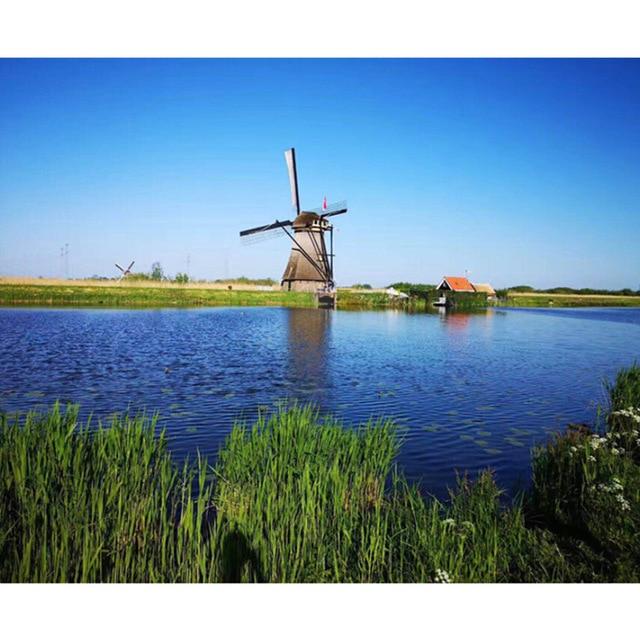 Drawjoy Painting By Numbers Oil Painting On Canvas  Paint By Number Drop Shipping Wall Art Pictures Home Decor Gift G311 AExp