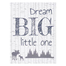 Dream Big Little One Canvas Wall Art-LODGE-JadeMoghul Inc.