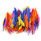 DUCK QUILLS FEATHERS 14 GRAM BAG-Supplies-JadeMoghul Inc.