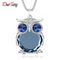 DuoTang High Quality Vintage Necklaces Zinc Alloy Crystal Jewelry Owl Necklace Pendant Long Popcorn Chain Necklace For Women-Silver Gray-JadeMoghul Inc.