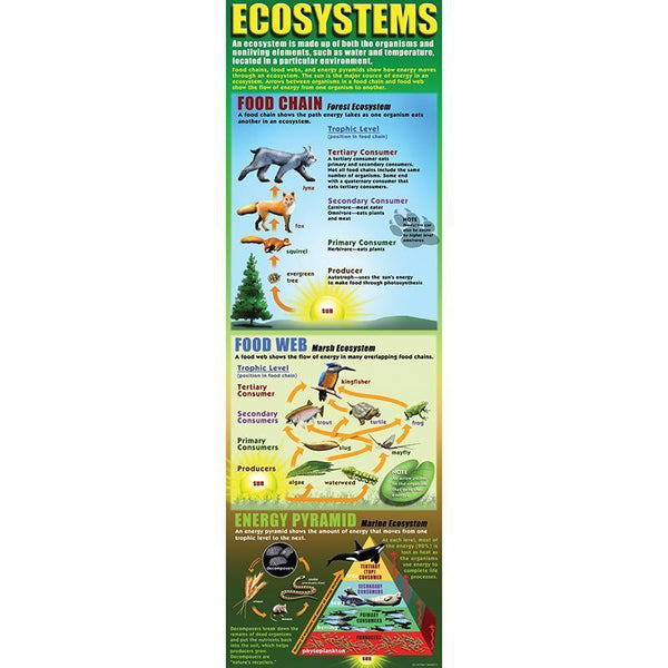 ECOSYSTEMS COLOSSAL POSTER-Learning Materials-JadeMoghul Inc.