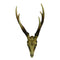 Enticing Polyresin Skeleton - Benzara-Decorative Objects and Figurines-Brown-Polyresin-Matte-JadeMoghul Inc.