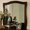 Esperia Dark Walnut Transitional Style Mirror-Makeup Mirrors-Dark Walnut-Wood Glass-JadeMoghul Inc.