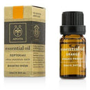 Essential Oil - Orange - 10ml/0.33oz-All Skincare-JadeMoghul Inc.