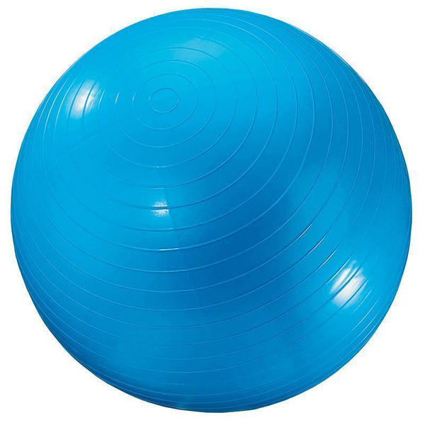 EXERCISE BALL 24IN BLUE-Toys & Games-JadeMoghul Inc.