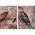 Exotic Birds Prints - Set Of 2-Fine Art Prints-Multi Color-Wood-JadeMoghul Inc.
