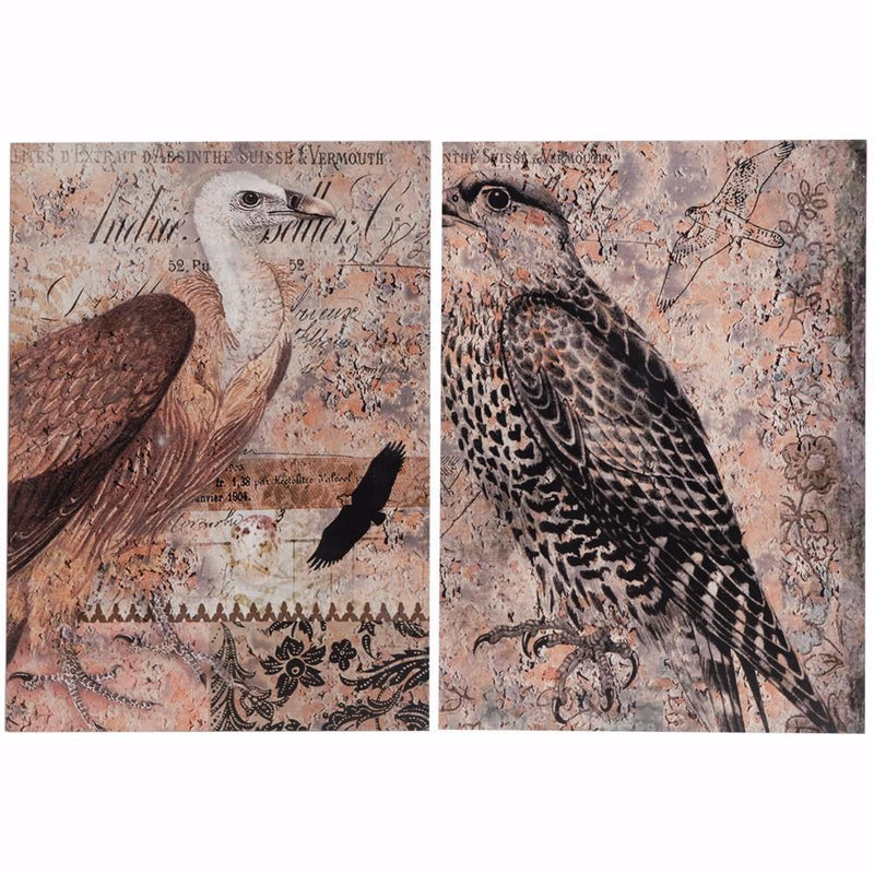 Exotic Birds Prints - Set Of 2-Fine Art Prints-Multi Color-Wood-JadeMoghul Inc.