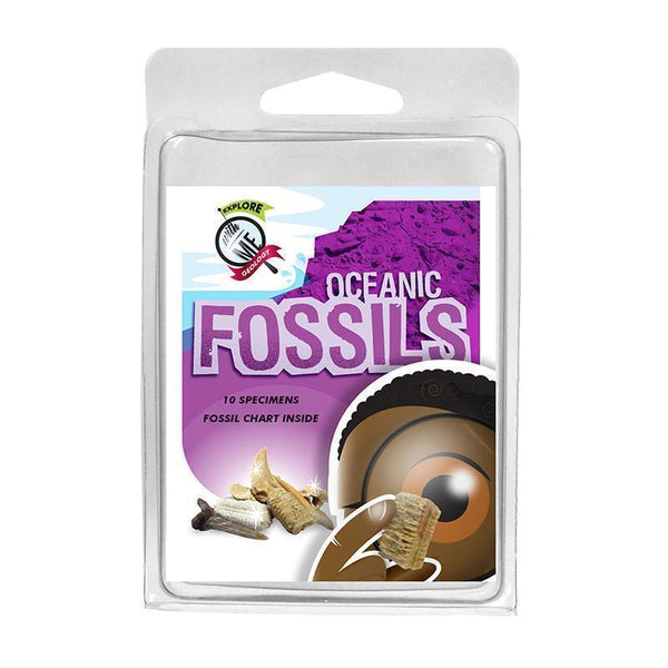 EXPLORE WITH ME OCEANIC FOSSILS-Learning Materials-JadeMoghul Inc.